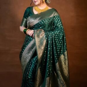 কাঞ্জিভরম ব্লাউজ পিস সহ ভাইরাল পরীমনি শাড়ি গ্রীন